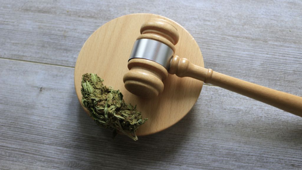 Marijuana and a Gavel on a Table