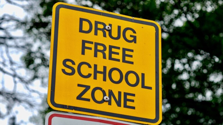image of a "Drug Free School Zone" sign
